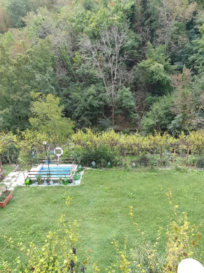 B&B Collina E Mare Camogli Dış mekan fotoğraf