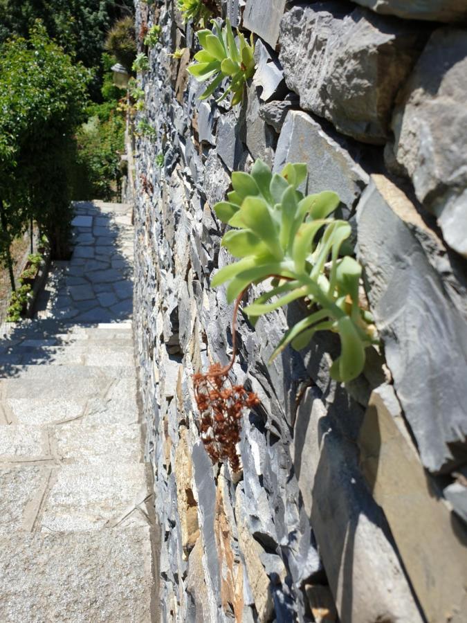 B&B Collina E Mare Camogli Dış mekan fotoğraf