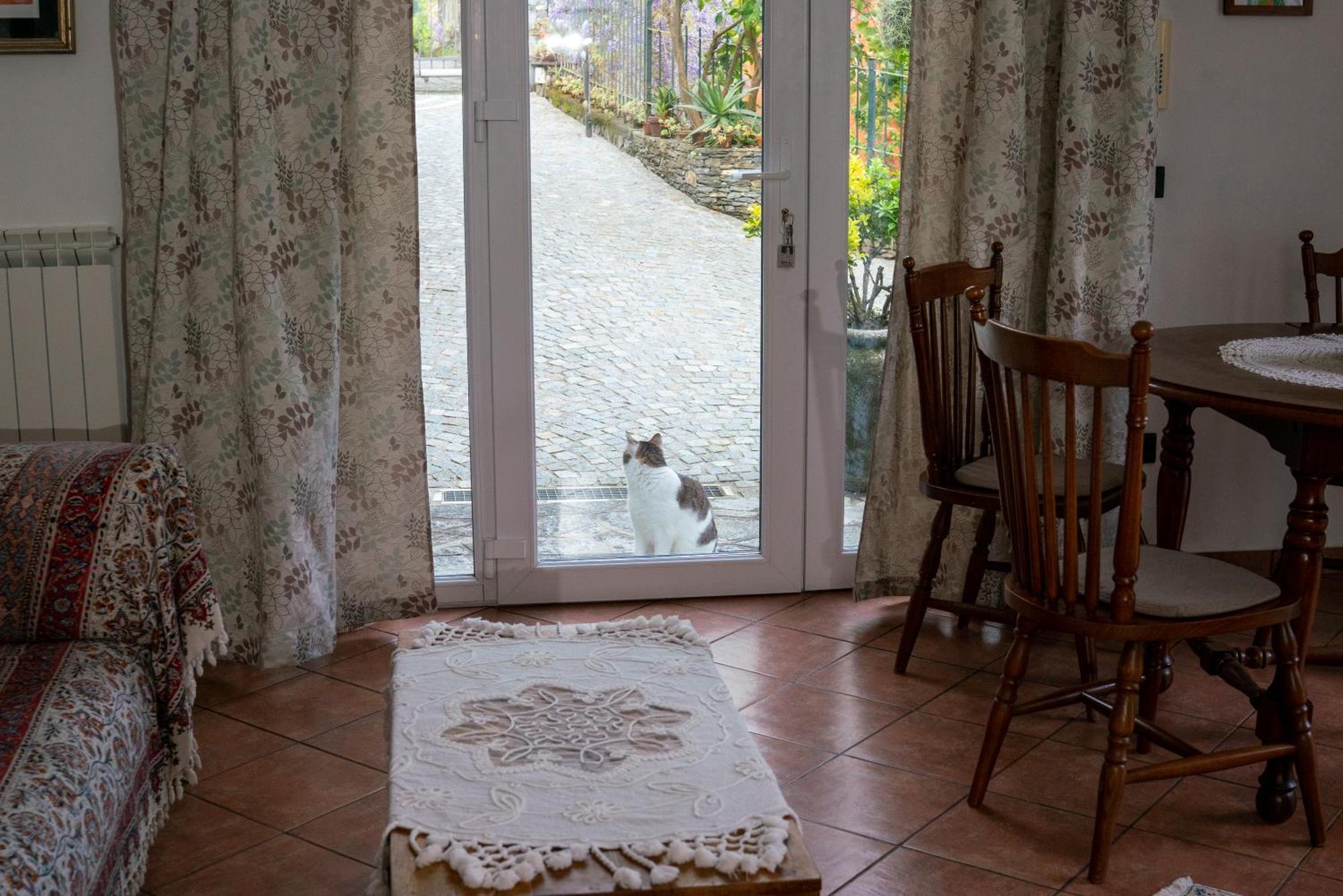 B&B Collina E Mare Camogli Dış mekan fotoğraf