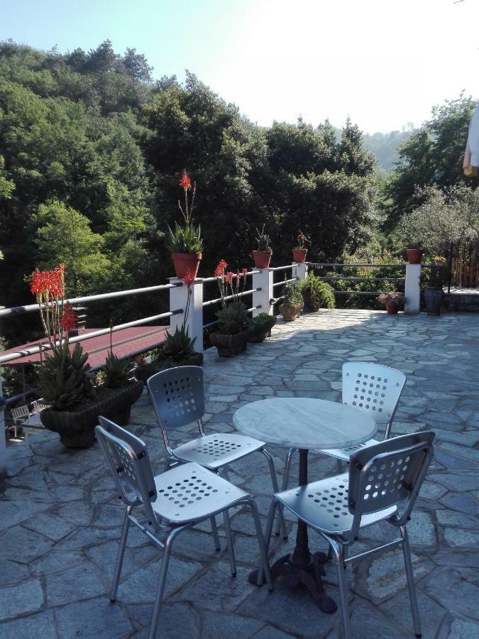 B&B Collina E Mare Camogli Dış mekan fotoğraf