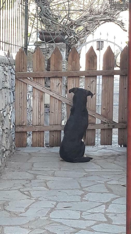 B&B Collina E Mare Camogli Dış mekan fotoğraf