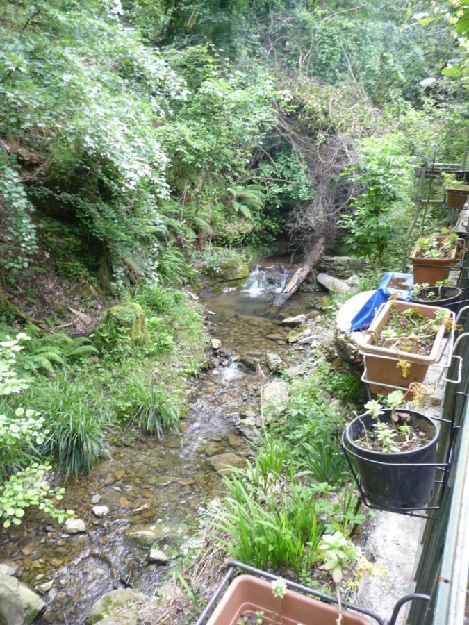 B&B Collina E Mare Camogli Dış mekan fotoğraf